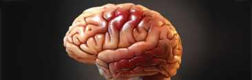 $29M Verdict 3D Mapping Brain Damage